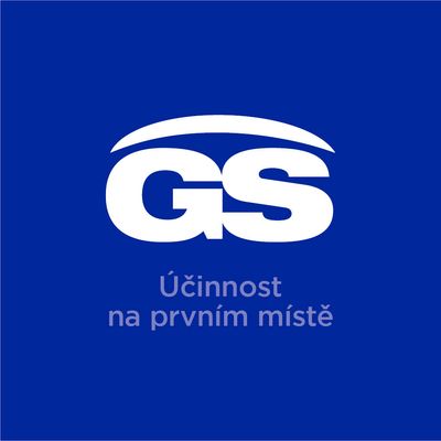 GS Ginkgo 40mg 90 + 30 tablet