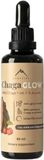 Hrotlife Chagaglow tinktura s vitamínem C, B6 a B12 60 ml