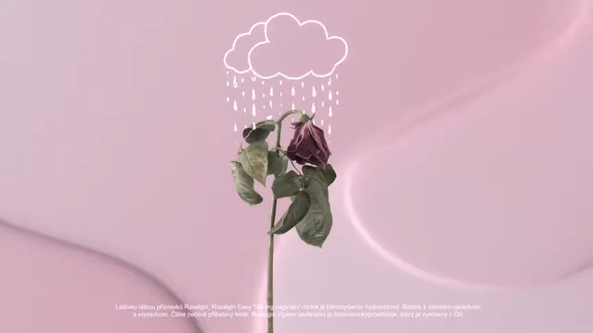 ROSALGIN – Zbavte sa gynekologických zápalov