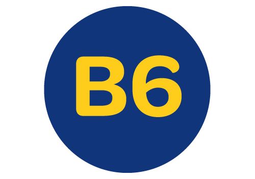 Magne B6 Forte, doplněk stravy s hořčíkem a vitamínem B6, přispívá ke snížená únavy a vyčerpání, energetický metabolismus, psychické zdraví, nervová soustava, K normální činnosti svalů a k normálnímu stavu kostí a zubů