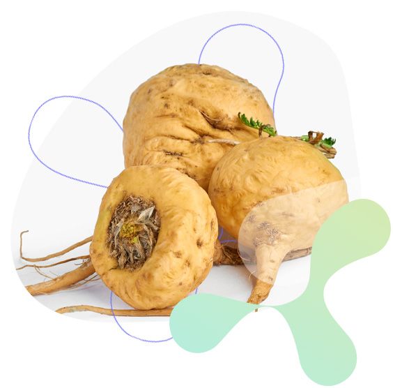 Maca, fyzické a duševní zdraví, plodnost, sexualita