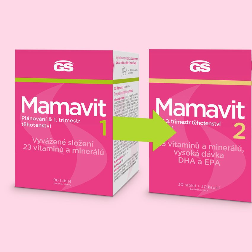 GS Mamavit 1 Plánování a 1.trimestr