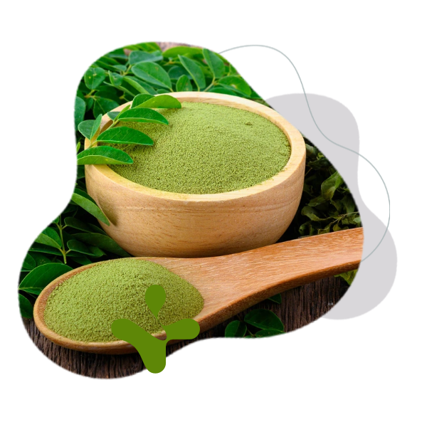BrainMax Pure Moringa BIO prášek
