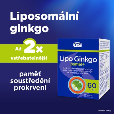 GS Lipo Ginkgo paměť+ 60 mg 60 tablet