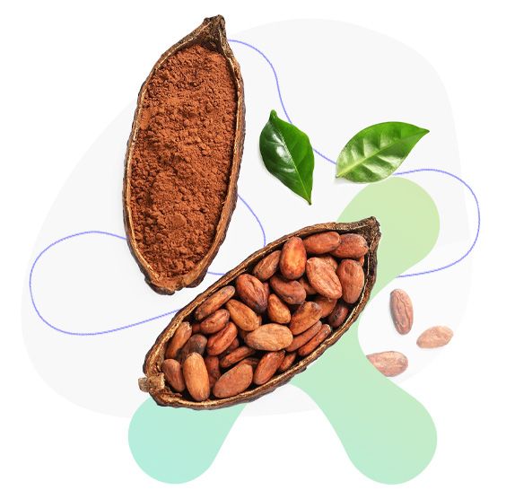 kakao, kolagen, vitamíny, minerály, kosti, klouby, pokožka, svaly, vlasy 