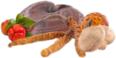 MycoMedica MycoComplex Vegan 90 kapslí