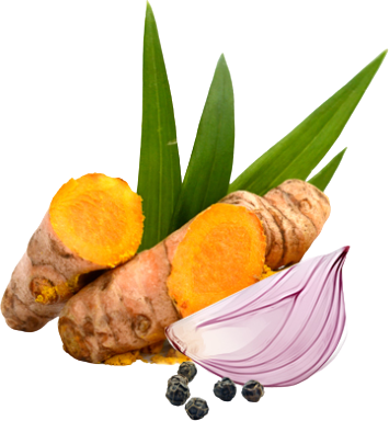 MycoMedica Curcumin 120 kapslí