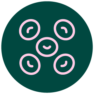 buněčná regenerace