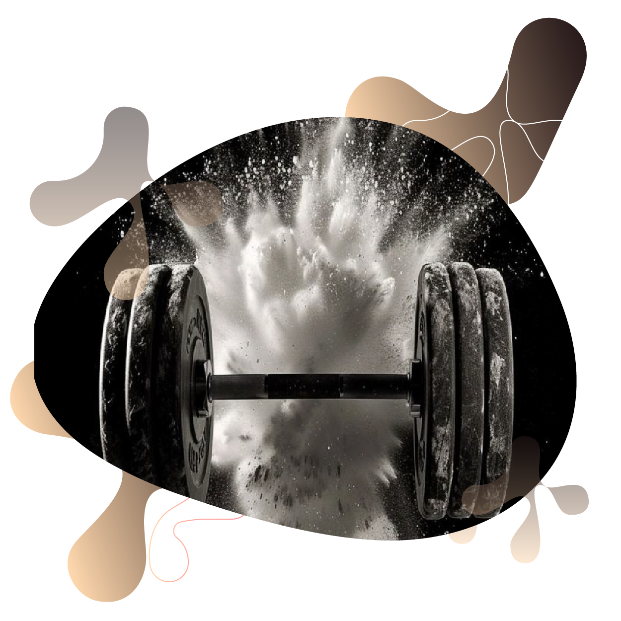 Reflex Nutrition