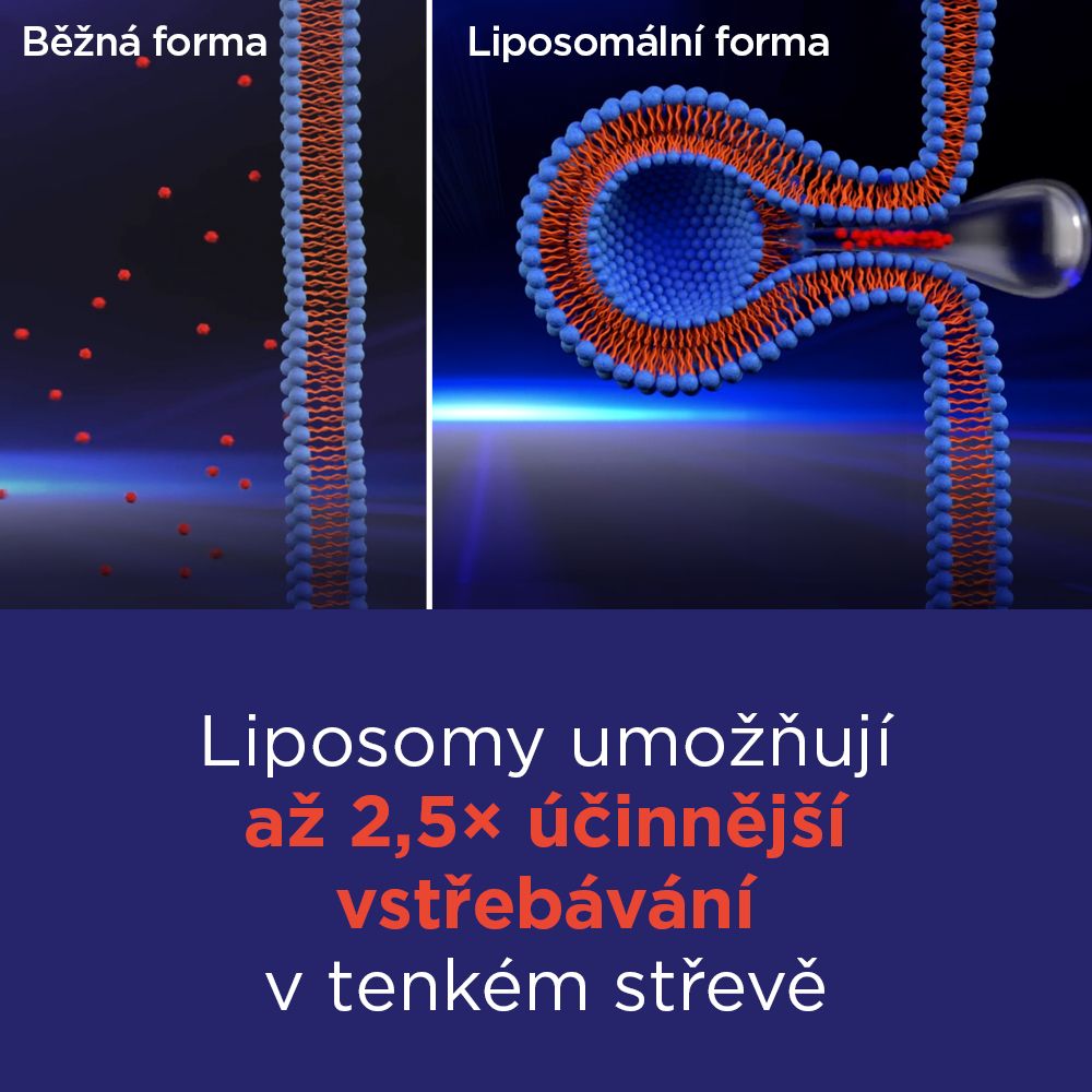 GS Vitamin Lipo C 500 mg se šípky 110 kapslí