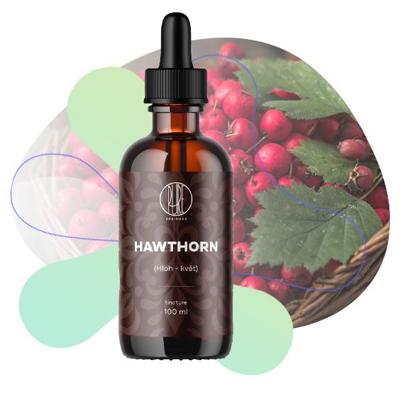 Hloh květ, usínání, činnost srdce, transport kyslíku, cévní systém