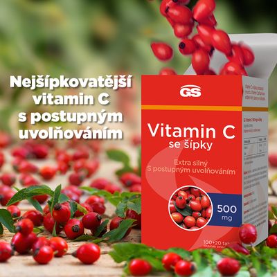 GS Vitamin C 500mg se šípky 120 tablet