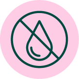 ikona