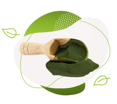 hubnutí, štíhlá postava, spirulina, chlorella