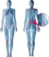 FIT Therapy Lady Balenie 2 x 3 ks