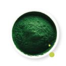 Co je to spirulina