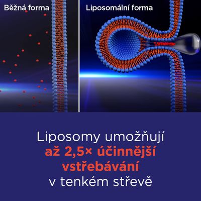 GS Vitamin Lipo C 500 mg se šípky 110 kapslí