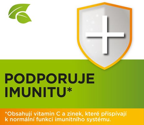 StrepHerbal Propolis a Rakytník 24 ks