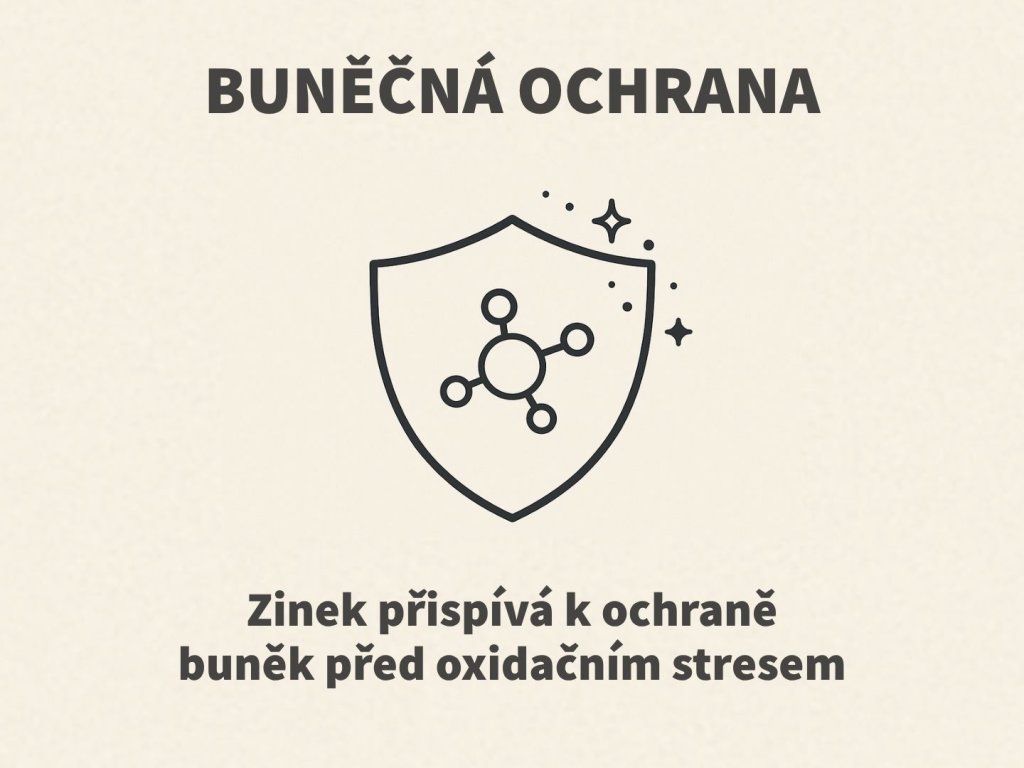 Botanic LiveUp – aktivní věk bez kompromisů 60 kapslí