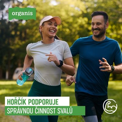 Organis Magnesium bisglycinát + B6 30 kapslí