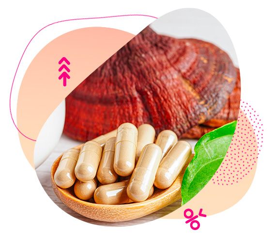 imunitní systém, cholesterol, nesmrtelná houba, oběhový systém
