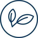 eko