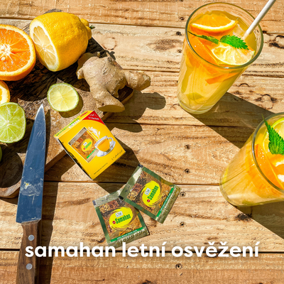 Samahan Bylinný nápoj sáčky 10 x 4 g