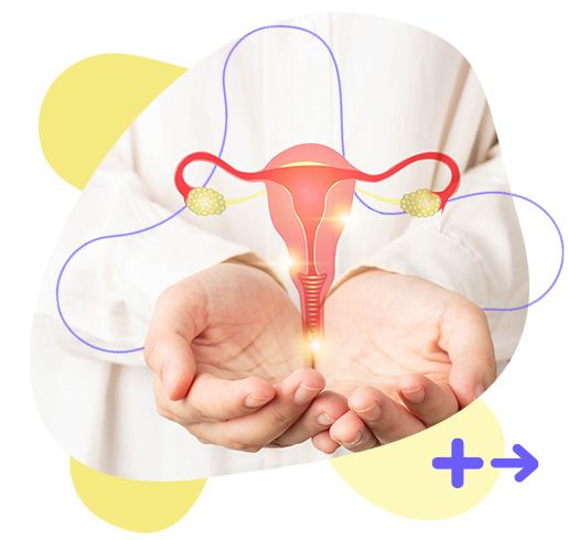 InSync, plodnost, menstruace, ovulace, hormonální rovnováha, těhotenství