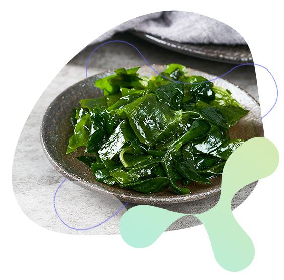 Kelp, normální funkce střevního traktu, tělesná hmotnost, štítná žláza