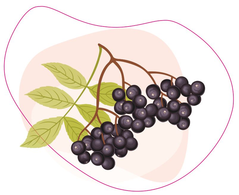 bezinka