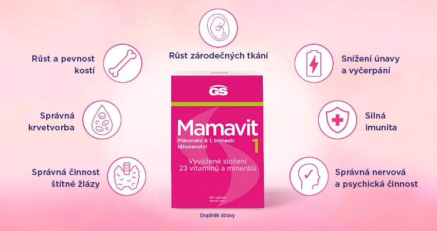 GS Mamavit 1 Plánování a 1.trimestr