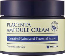 Mizon Placenta Ampoule krém 50 ml