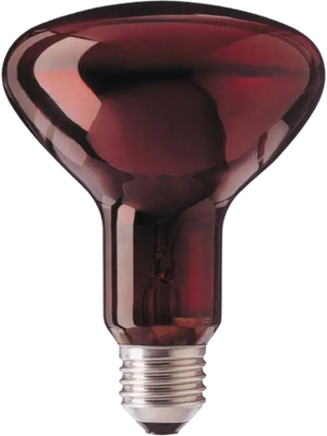 Sanitas Žárovka k infralampě 100 W