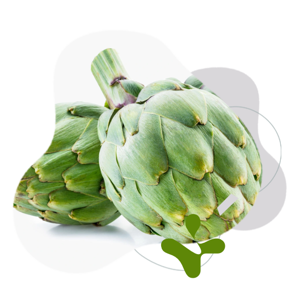 BrainMax Pure Artyčok listy tinktura