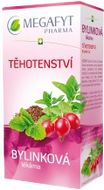 Megafyt Bylinková lékárna Těhotenství sáčky 20 x 1.5 g
