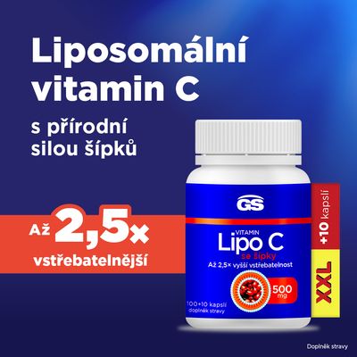 GS Vitamin Lipo C 500 mg se šípky, XXL 110 kapslí