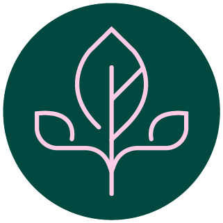 Rostlinné steroly (fytosteroly)