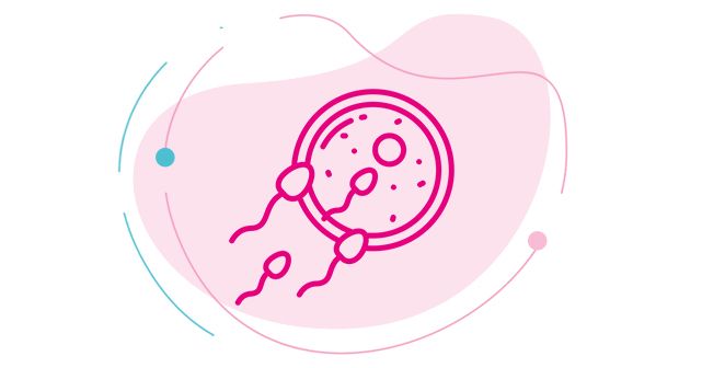 ovulační testy, těhotenství, žena, ovulace