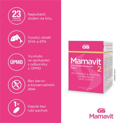 GS Mamavit 2 Těhotenství a kojení 30 tablet + 30 kapslí