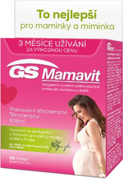 GS Mamavit 90 tablet