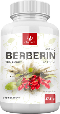 Allnature Berberin Extrakt 98% 500 mg 60 kapslí