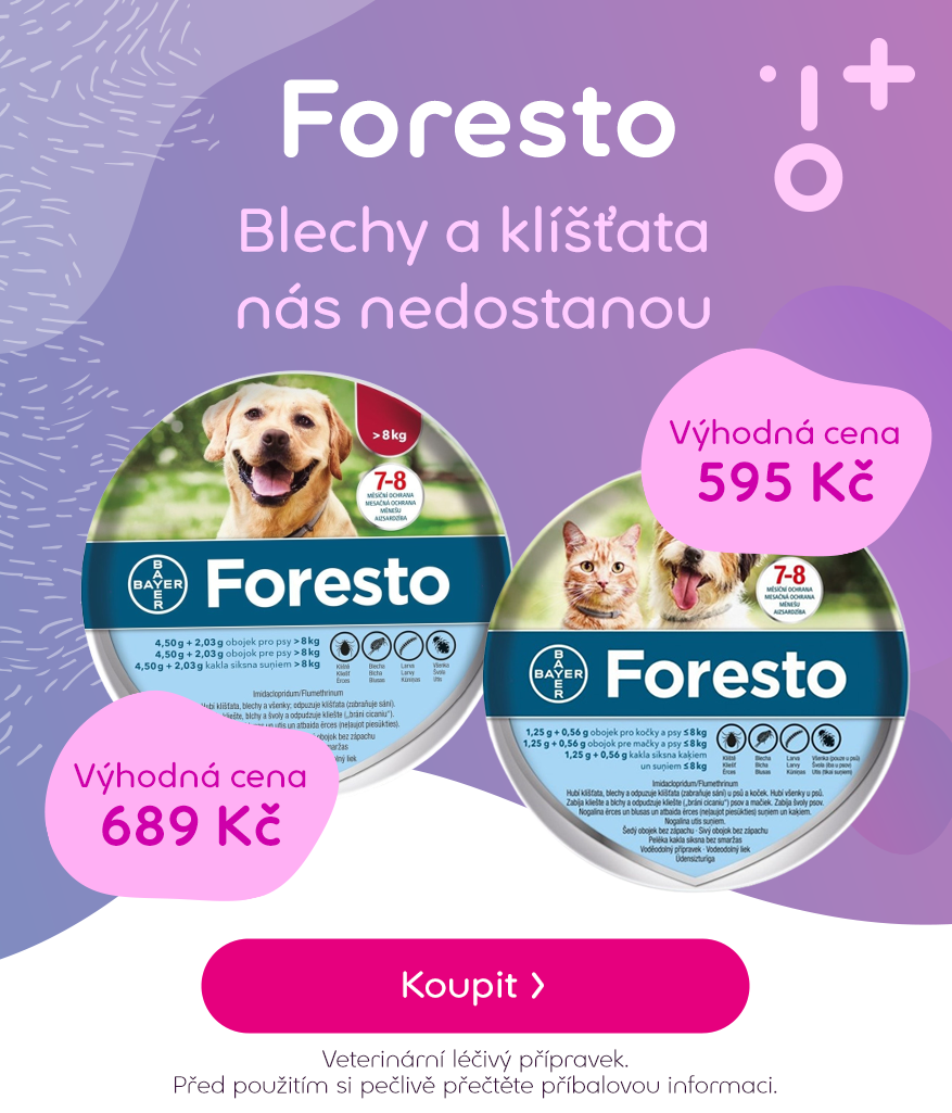 Foresto