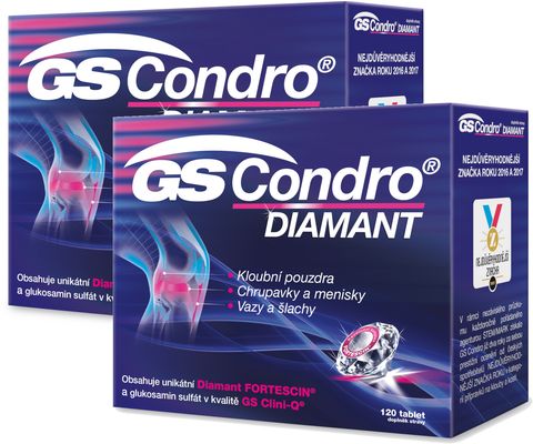GS Condro Diamant 240 tablet