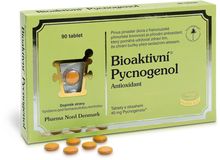 Bioaktivní Pycnogenol 90 tablet
