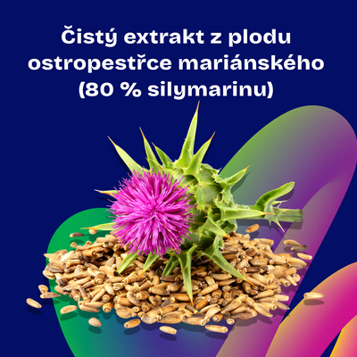 Daily Balanced Silymarin Extract (Ostropestřec mariánský) 90 kapslí