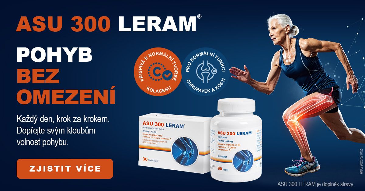 Leram ASU 300 30 tobolek