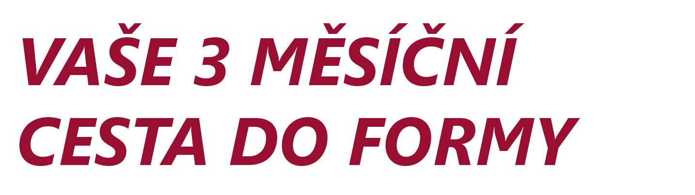 VASE TRIMESICNI CESTA DO FORMY