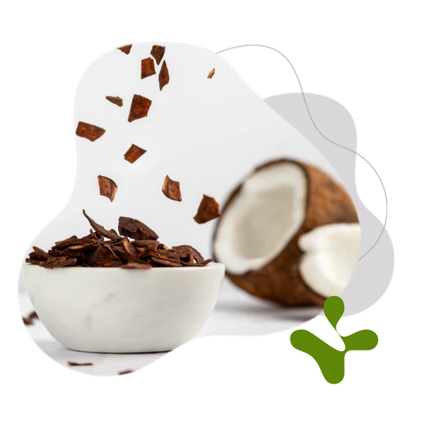 BrainMax Pure Chocolate Coconut chips, kokosové lupienky v čokoláde