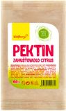 Wolfberry Pektin citrusový 100 g
