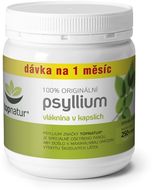 Topnatur Psyllium 250 kapslí